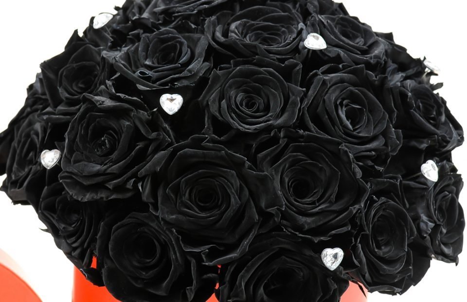 Boxed -nfinity-Black-Roses