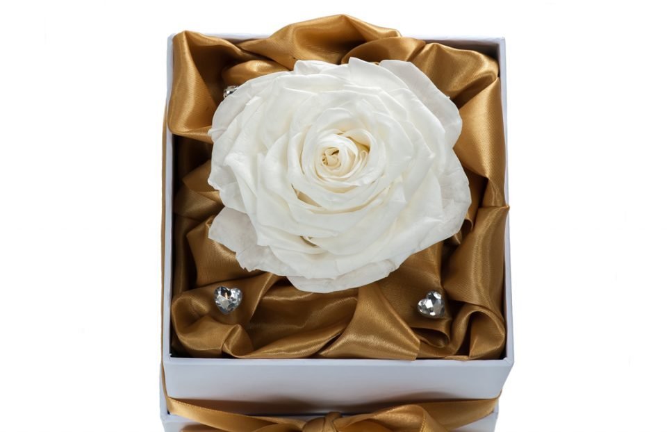 Single-Infinity-White-Rose-in-a-box.