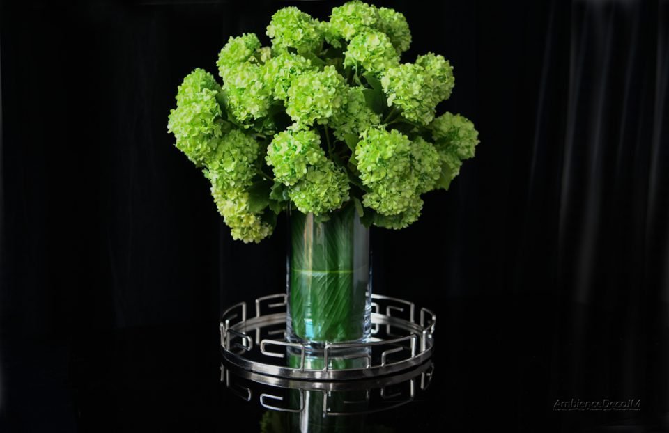Green Guelder Rose in a cylinder vase