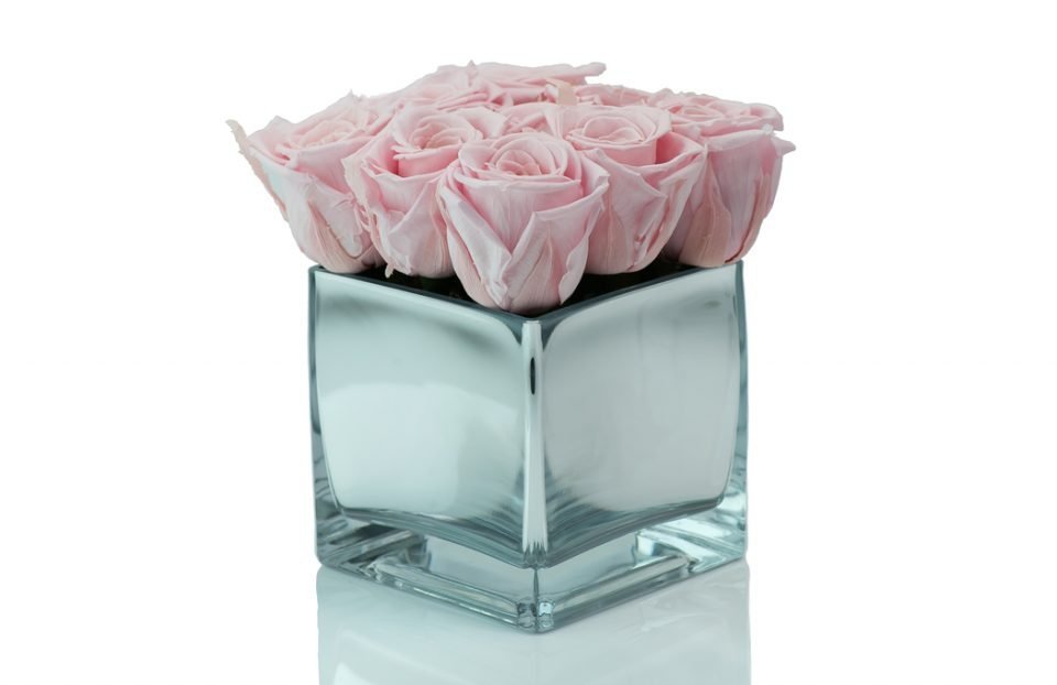 Pink Forever-Roses-in-a-Cube-Vase