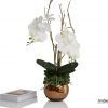 real touch orchids in gold fishbowl