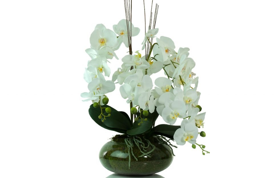 White artificial phalaenopsis orchids in glass bowl. Preserved Floral