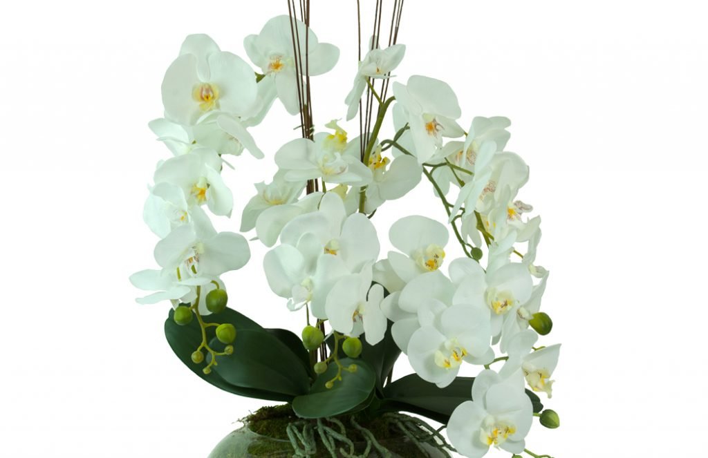 White artificial phalaenopsis orchids in glass bowl. Preserved Floral