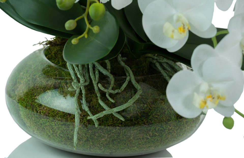 White artificial phalaenopsis orchids in glass bowl. Preserved Floral