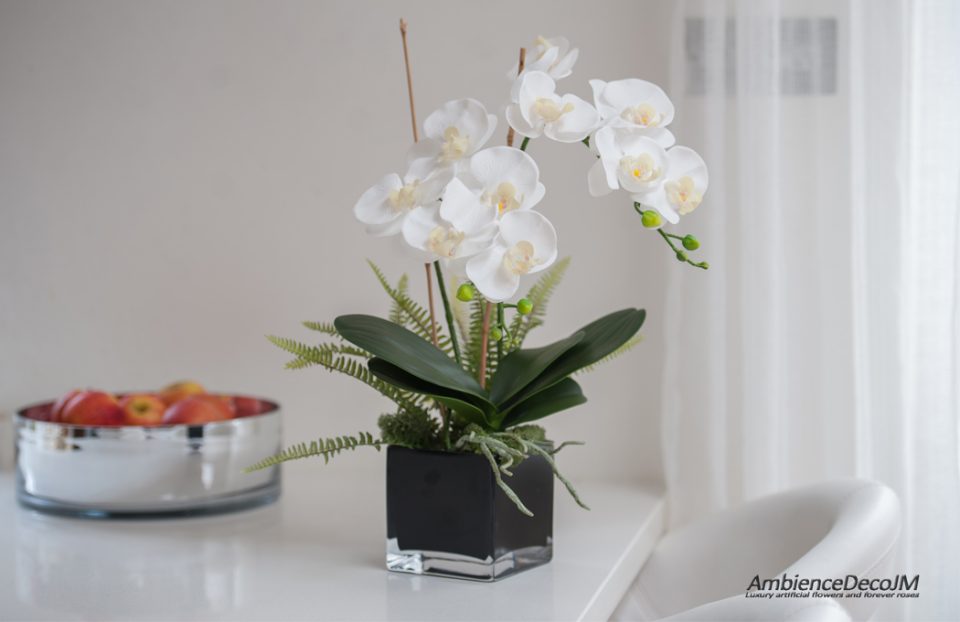 real touch orchids in cube