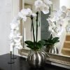 Orchids in a silver metal bowl