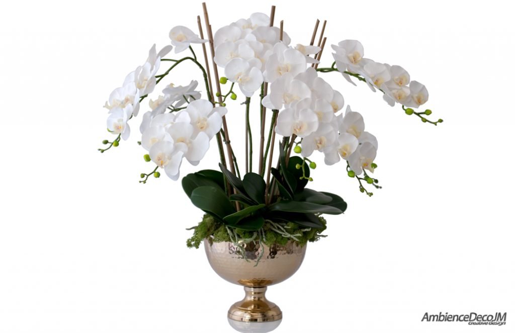 Luxury orchids in a golden vase Preserved Floral Arrangements & Silk