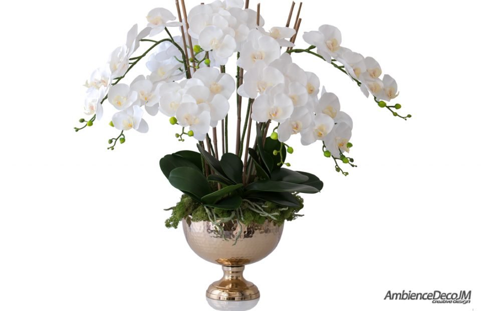 Luxury orchids in a golden vase
