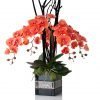 Real touch orange orchids display