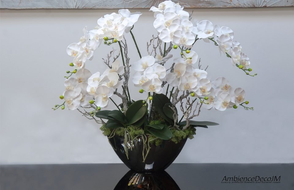 Luxury orchids in a mirrored boat vase