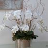 luxury real touch orchids in champagne cooler
