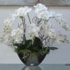 Luxury orchids in a mirrored boat vase