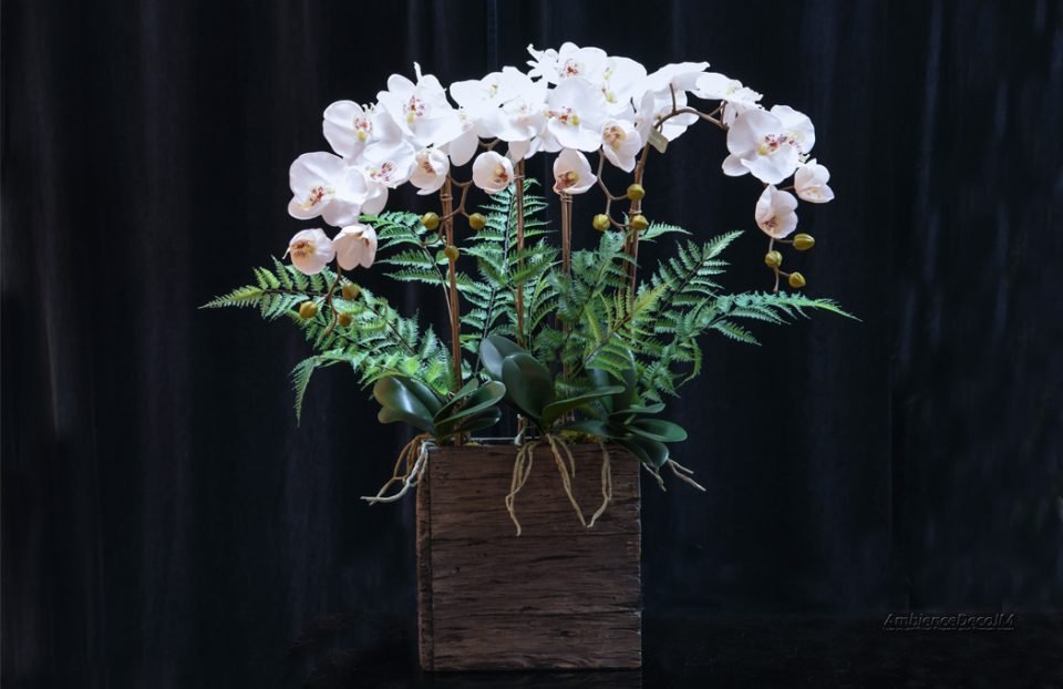 Modern Orchid Arrangement