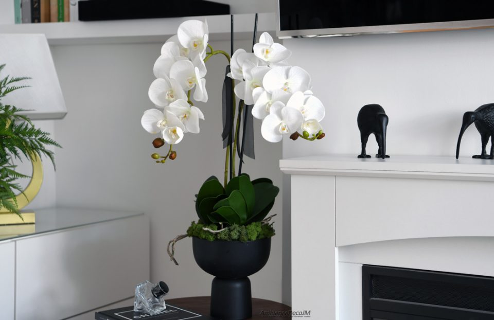 Luxury White Phalaenopsis Orchid Arrangement in Black Pedestal Bowl