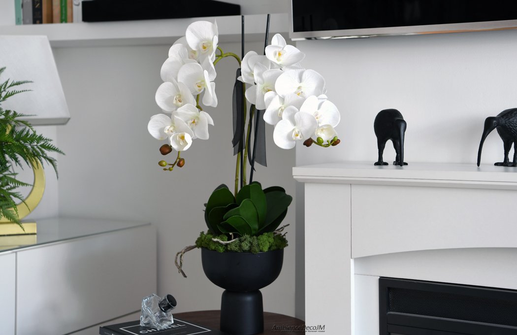 Luxury White Phalaenopsis Orchid Arrangement in Black Pedestal Bowl