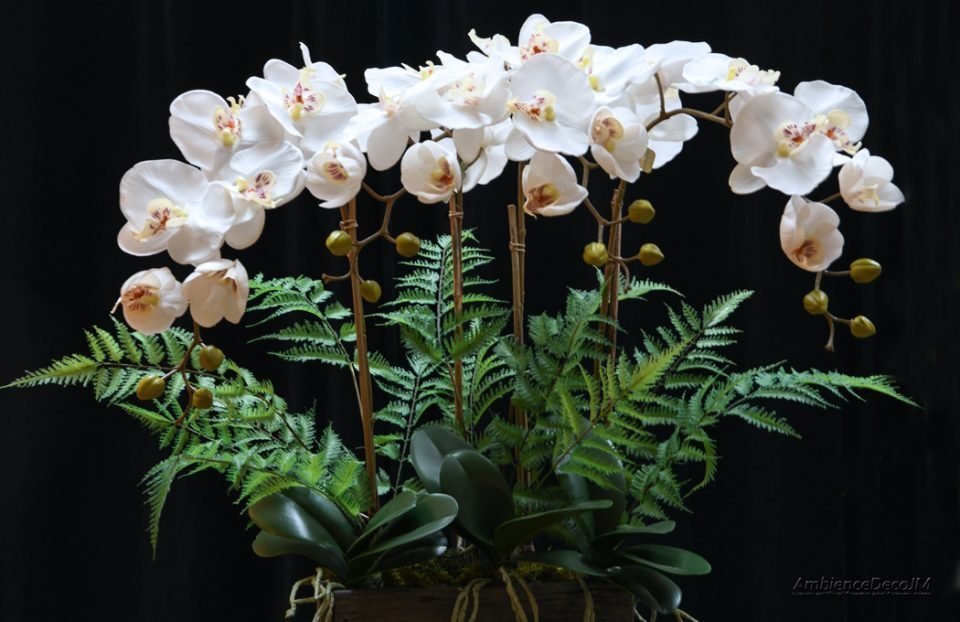 Modern Orchid Arrangement