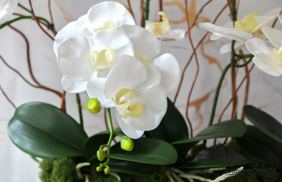 Luxury artificial orchid arrangement.
