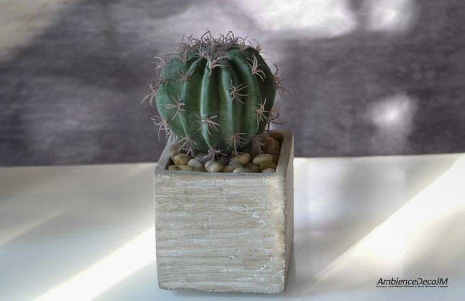 artificial cactus in a pot