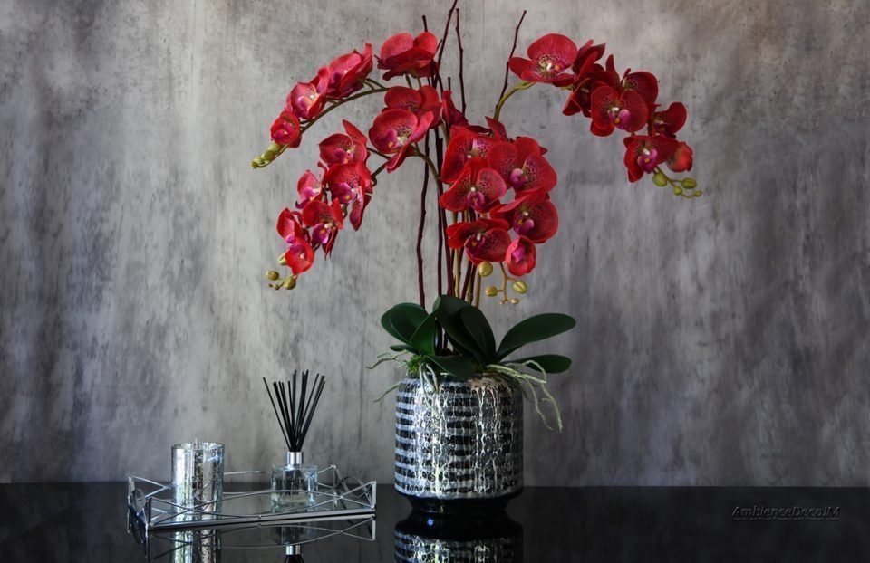 Burgundy orchid arrangement