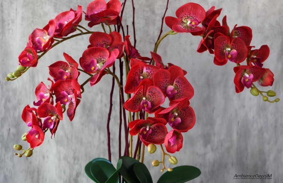 Burgundy orchid arrangement