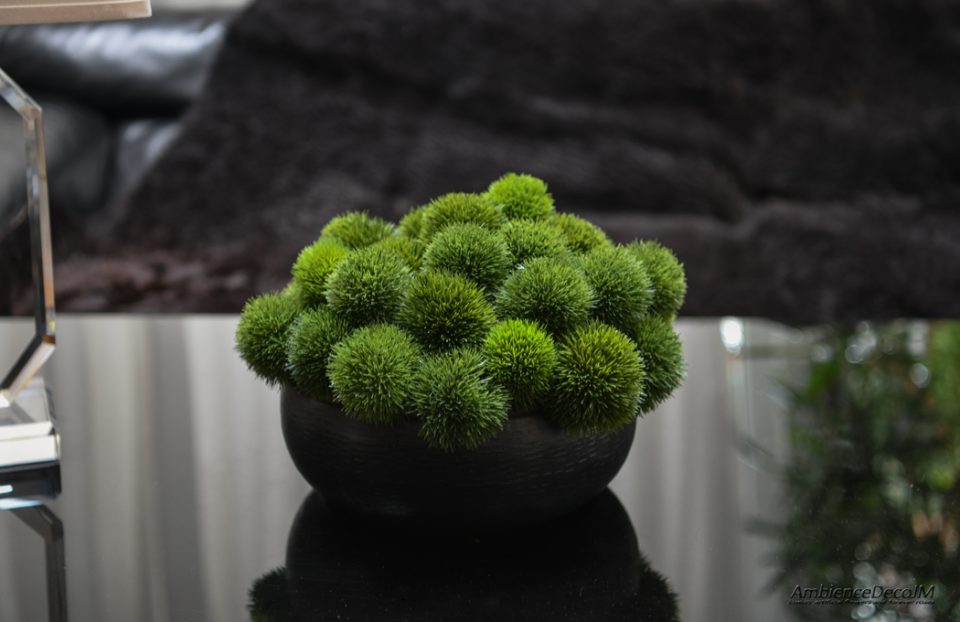 Green Dianthus in a black bowl