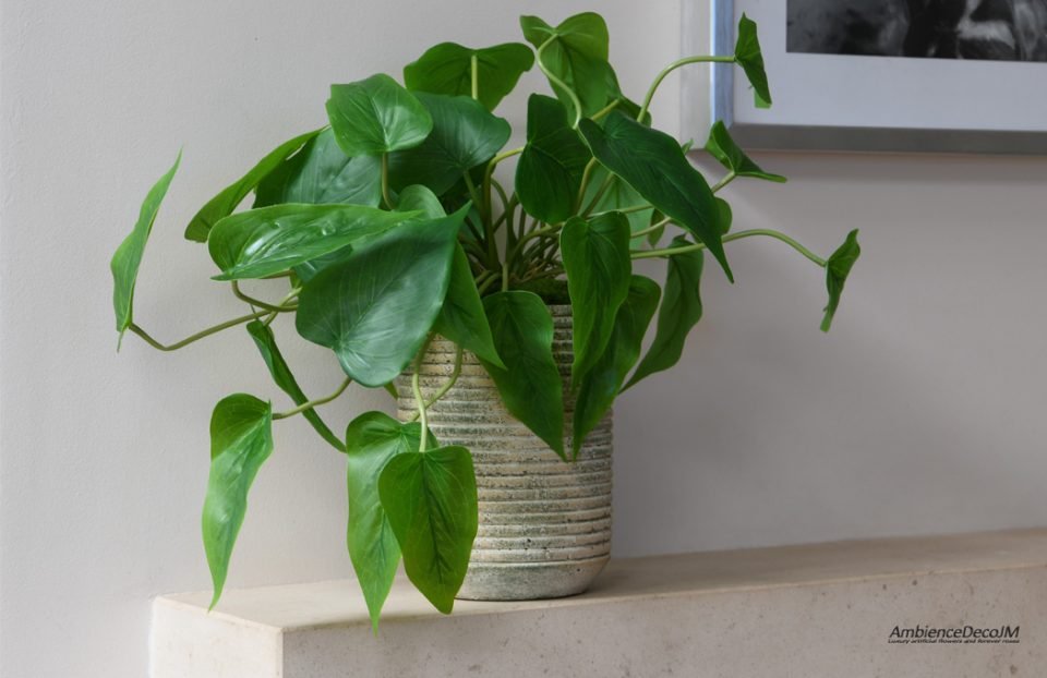 Realistic house plant