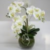 Orchids in glass bowl