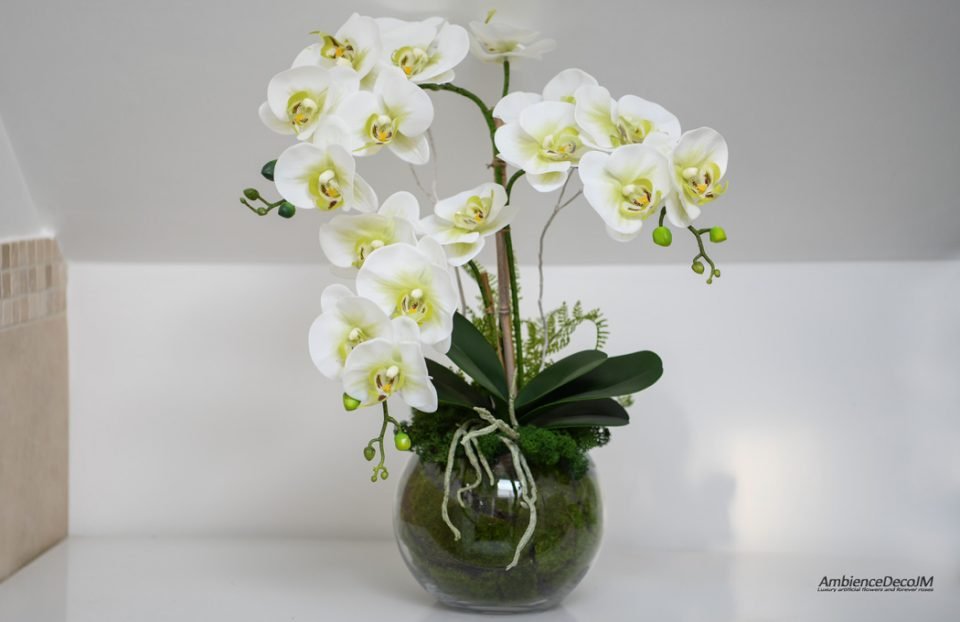 Orchids in glass bowl