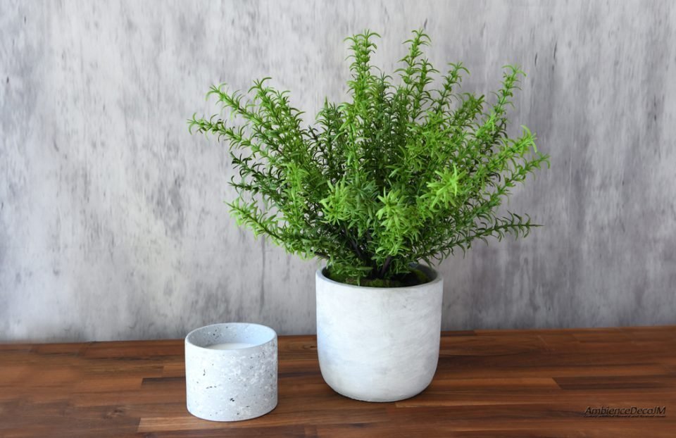 realistic potted rosemary plant