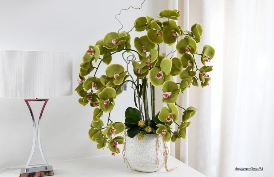 Green orchid arrangement