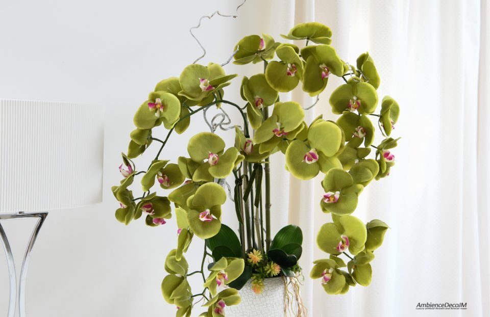 Green orchid arrangement