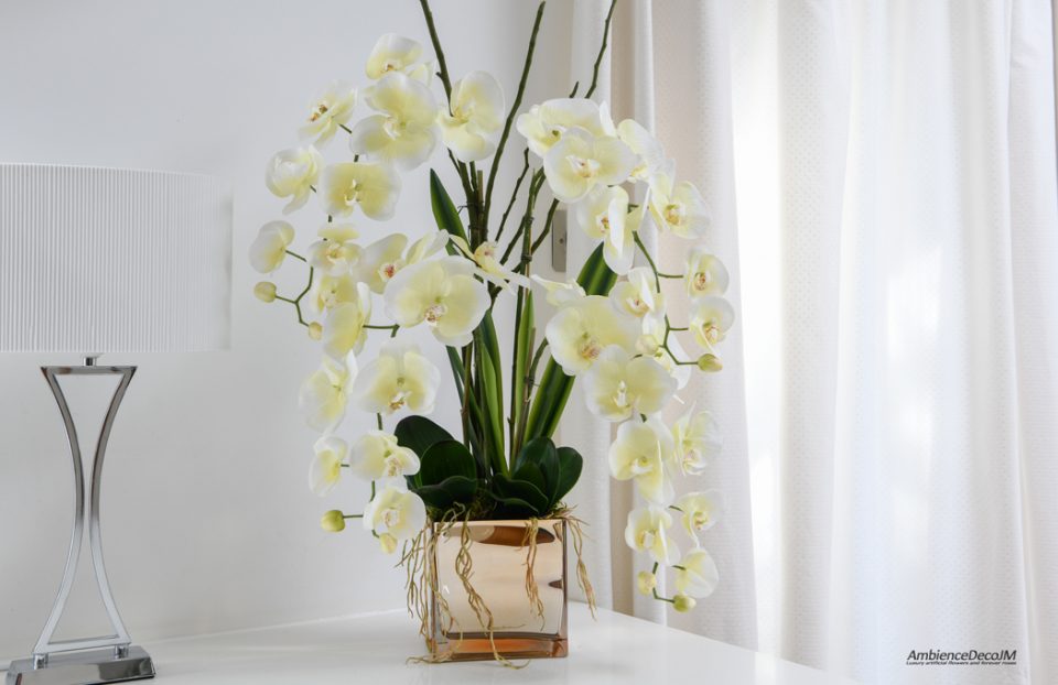 Cream orchids arrangement