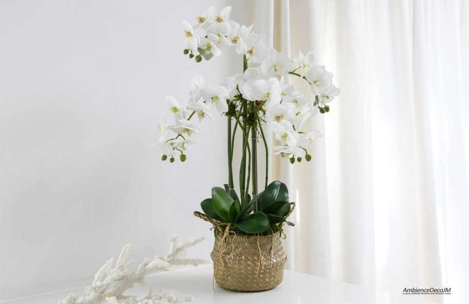 Orchids in a basket.