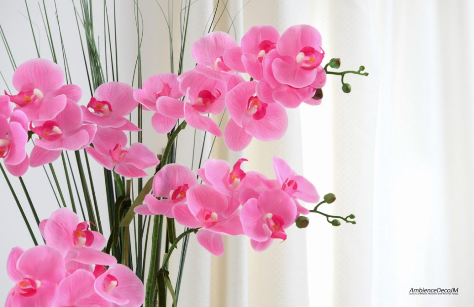 Pink orchid arrangement