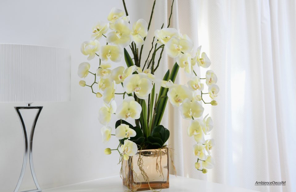 Cream orchids arrangement