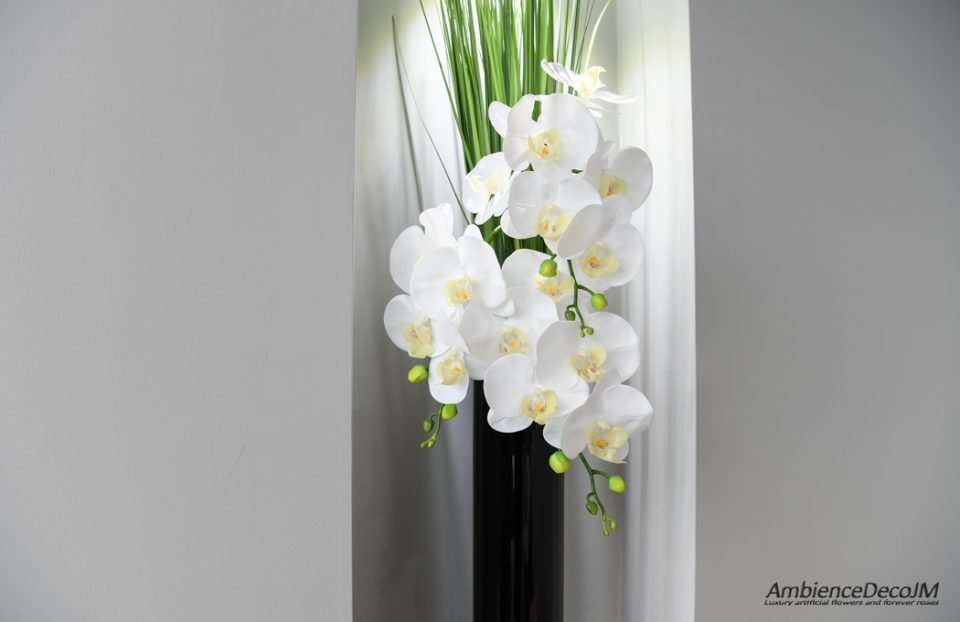 Orchids in glass cylinder