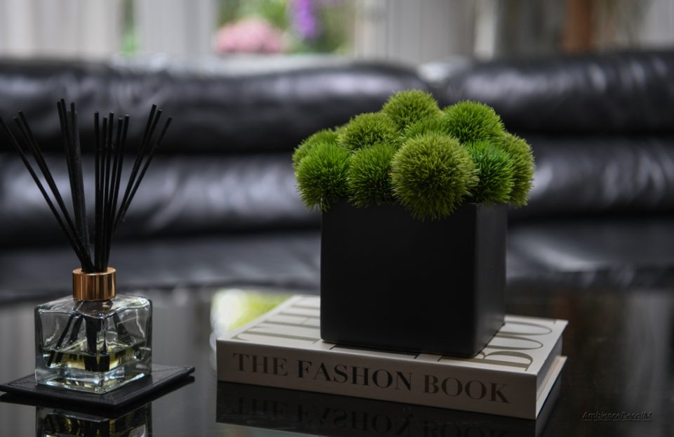 Green dianthus in a black cube