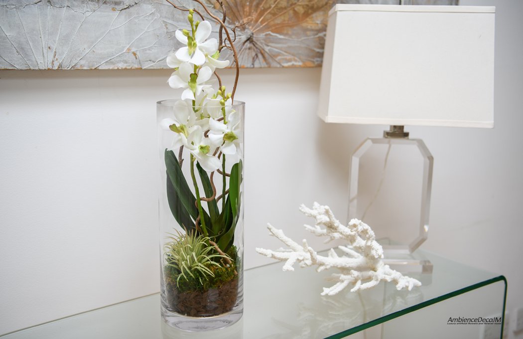 Vanda orchids in cylinder vase | Preserved Floral Arrangements & Silk ...