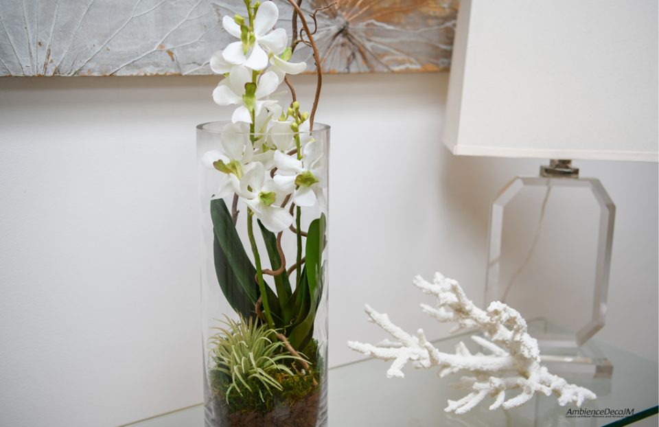 Vanda orchids in cylinder vase