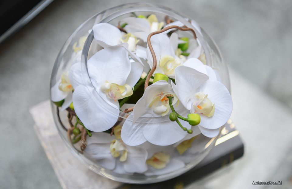 Orchids in a fishbowl vase