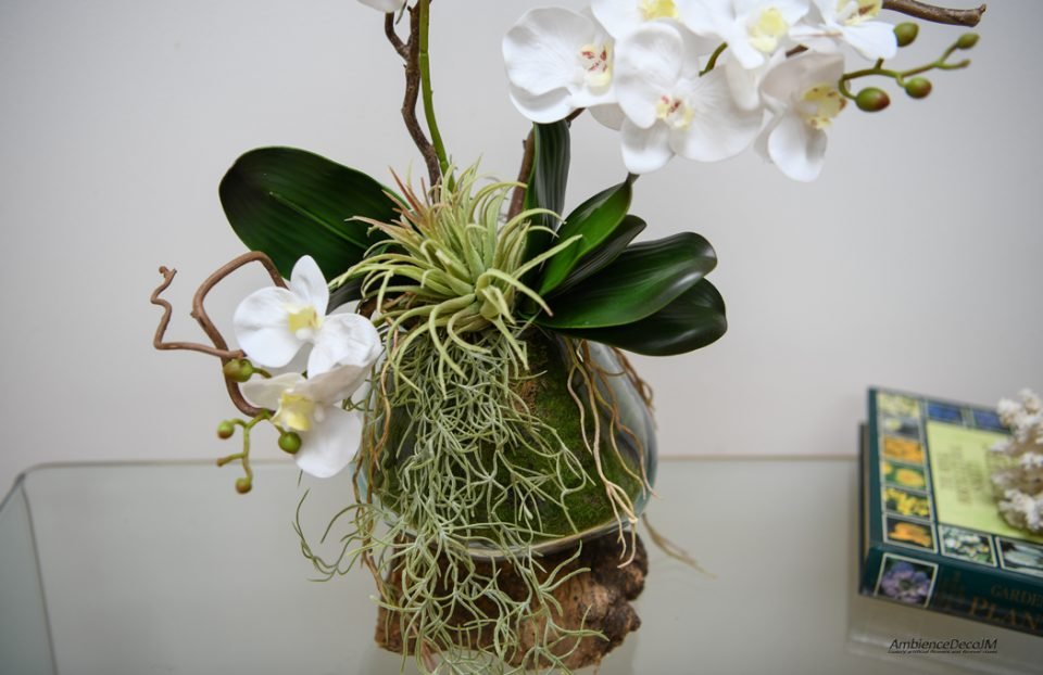 Orchids in a molten glass vase