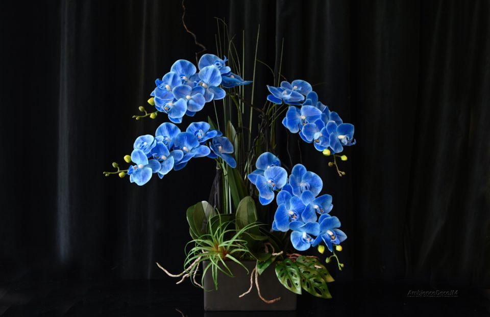 Realistic blue orchid arrangement