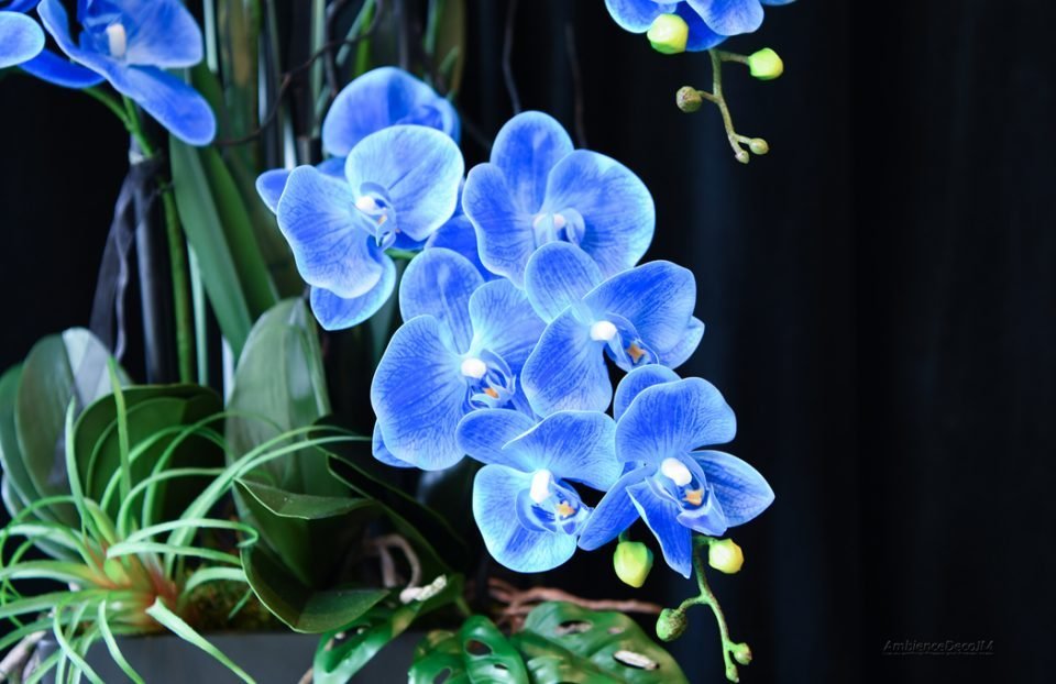 Realistic blue orchid arrangement