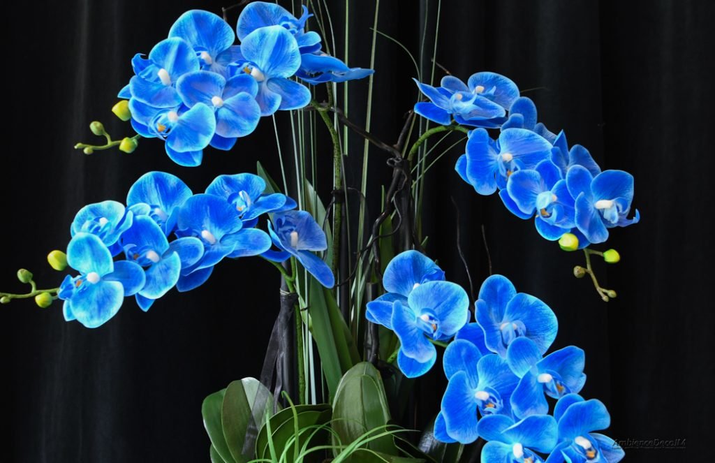 Realistic blue orchid arrangement Preserved Floral Arrangements