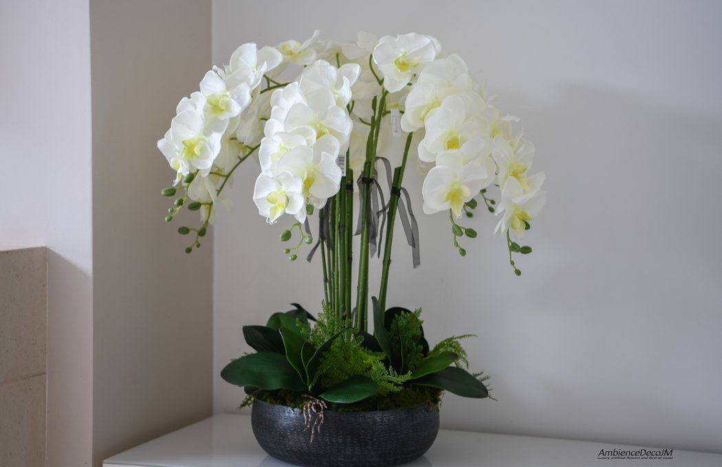 XL Orchid Arrangement