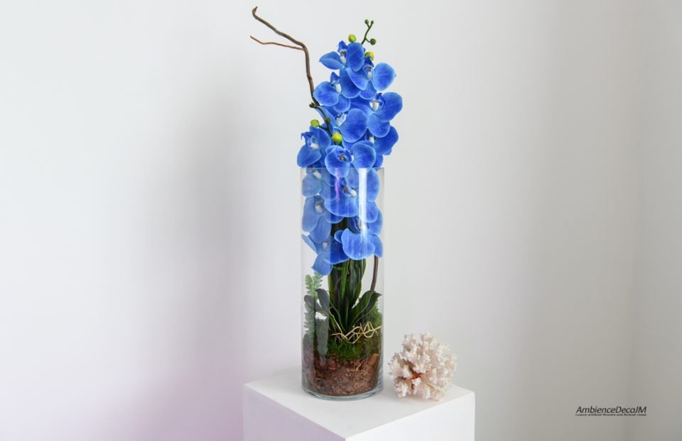 Blue Orchids in a Cylinder Vase