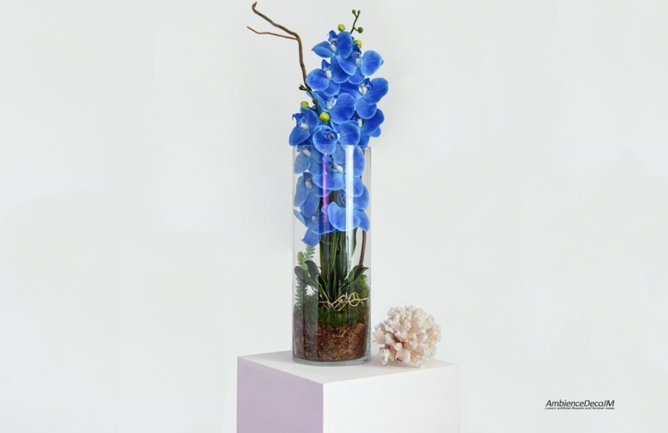 Blue Orchids in a Cylinder Vase