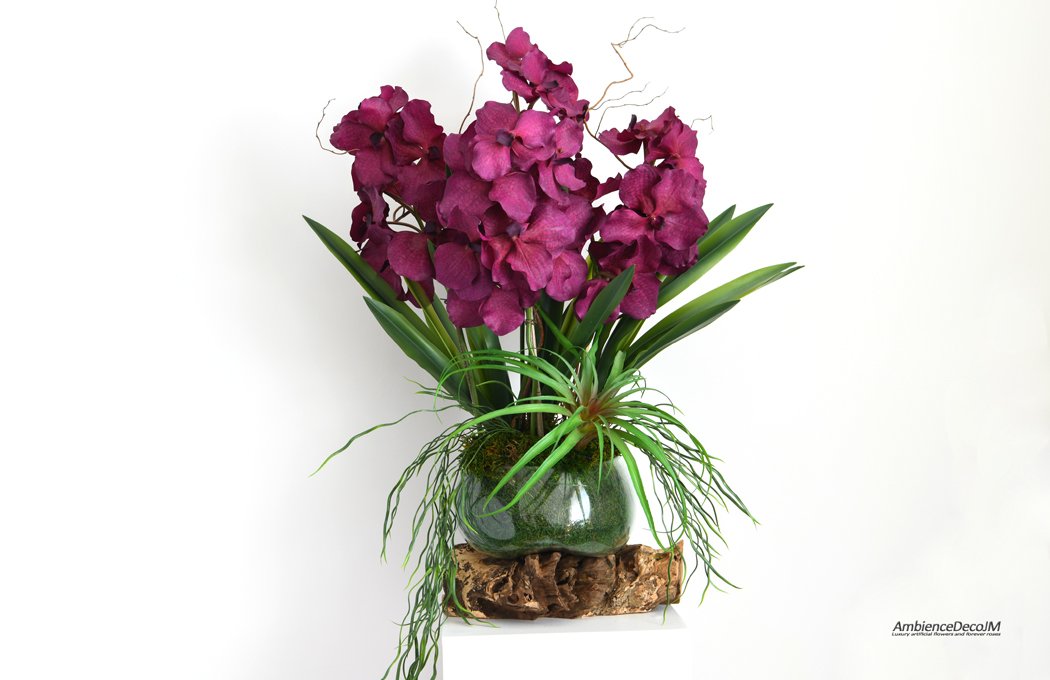 Luxury Vanda orchid arrangement