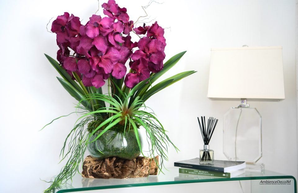 Luxury Vanda orchid arrangement