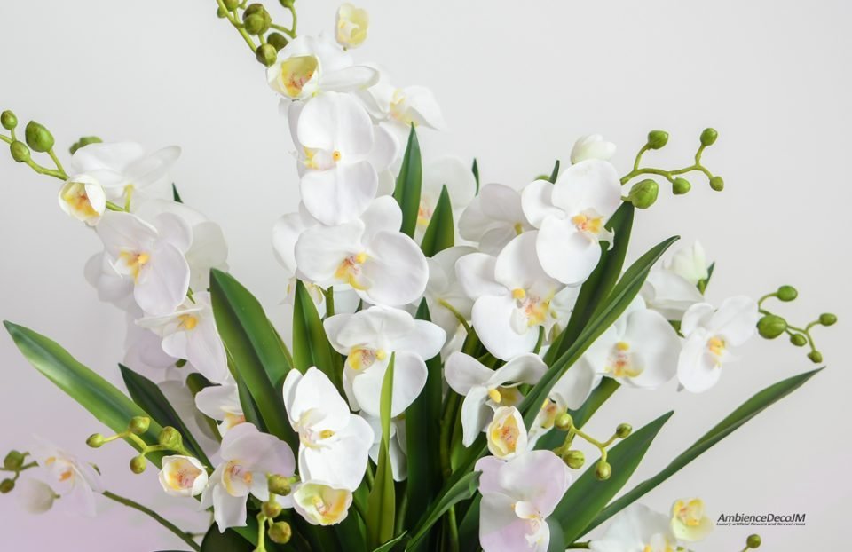 Luxury Orchid Table Arrangement